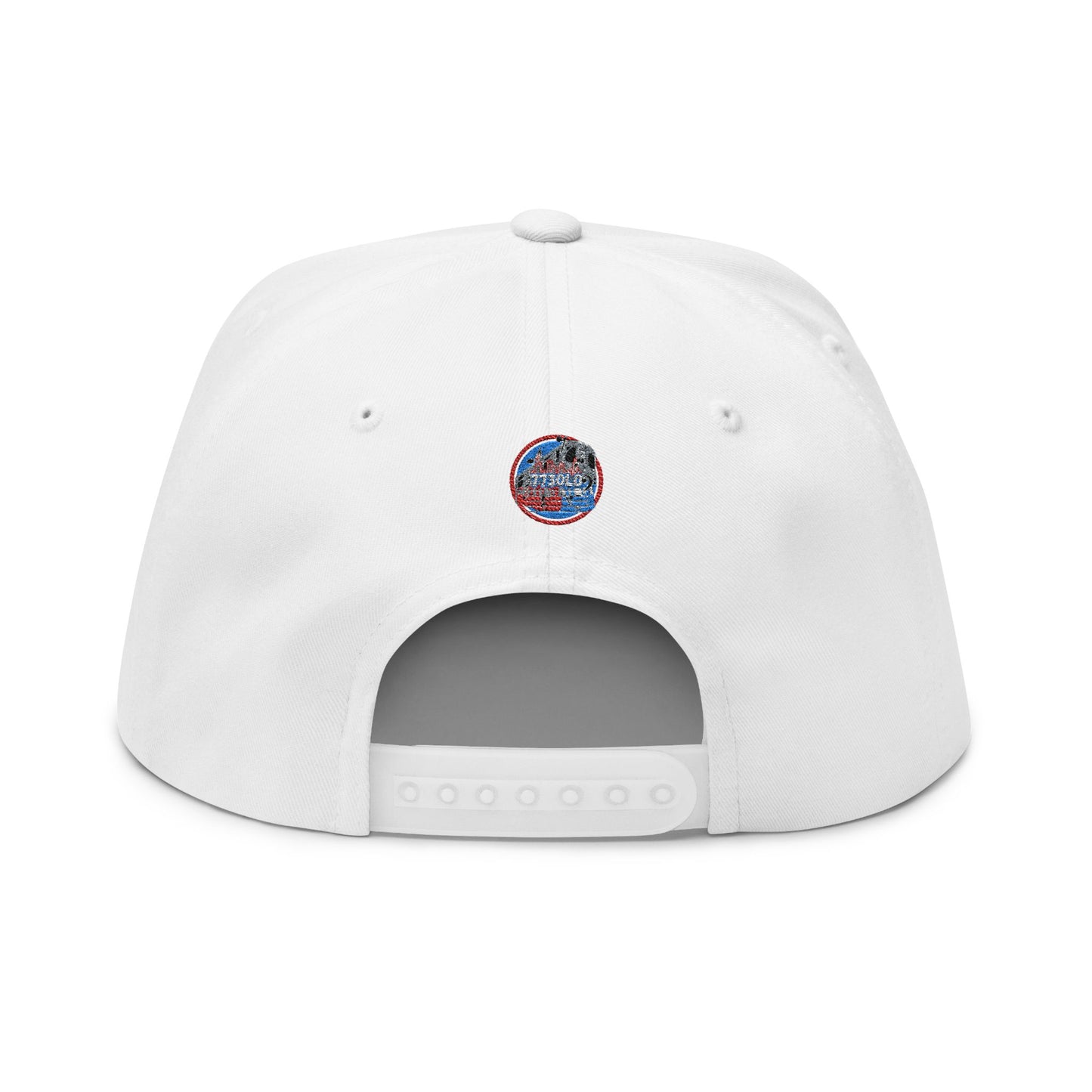 GO UP EMBROIDERED SNAP BACK